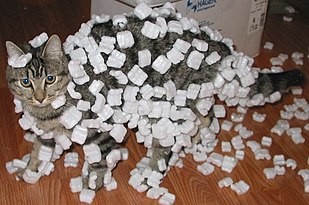 Click image for larger version

Name:	310px-Cat_demonstrating_static_cling_with_styrofoam_peanuts.jpg
Views:	116
Size:	29.6 KB
ID:	499096
