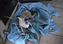 Click image for larger version

Name:	IMG_20210319_080307~2.jpg
Views:	79
Size:	186.6 KB
ID:	504236
