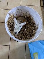 Click image for larger version

Name:	IMG-20210411-WA0000.jpg
Views:	99
Size:	132.3 KB
ID:	507394
