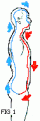 Click image for larger version

Name:	microcosmic.gif
Views:	26
Size:	2.8 KB
ID:	444688