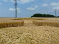 Click image for larger version

Name:	smCrop Circle 011.JPG
Views:	66
Size:	1.03 MB
ID:	445117
