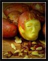 Click image for larger version

Name:	Picture17.jpg
Views:	15
Size:	96.0 KB
ID:	445128
