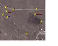 Click image for larger version

Name:	Tesla - CSDB farm close up.JPG
Views:	27
Size:	46.9 KB
ID:	445811
