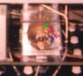 Click image for larger version

Name:	CSET2 200-5mod.jpg
Views:	47
Size:	34.9 KB
ID:	445978