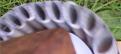 Click image for larger version

Name:	Distortion ABOVE the pipe pieces, CIRCULAR.jpg
Views:	111
Size:	231.3 KB
ID:	449059