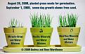Click image for larger version

Name:	plants.jpg
Views:	50
Size:	92.1 KB
ID:	450345