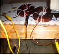 Click image for larger version

Name:	close up of coils.jpg
Views:	64
Size:	194.2 KB
ID:	450494
