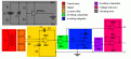 Click image for larger version

Name:	pyrazo timer tuner for relays color coded.gif
Views:	49
Size:	10.6 KB
ID:	450565
