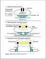 Click image for larger version

Name:	Meyl.jpg
Views:	165
Size:	91.3 KB
ID:	450980