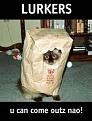 Click image for larger version

Name:	catlurker.jpg.jpeg
Views:	12
Size:	8.8 KB
ID:	450989
