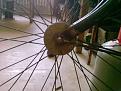 Click image for larger version

Name:	bike dy 2.jpg
Views:	16
Size:	49.3 KB
ID:	451071