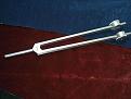 Click image for larger version

Name:	50 Hz Nerve Fork.jpg
Views:	9
Size:	39.0 KB
ID:	451329