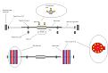 Click image for larger version

Name:	maglev pulse generator.jpg
Views:	141
Size:	66.9 KB
ID:	453149