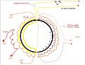 Click image for larger version

Name:	2012-05-06_072328.jpg
Views:	130
Size:	70.7 KB
ID:	453501