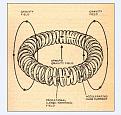 Click image for larger version

Name:	gravity field and coil.jpg
Views:	1037
Size:	66.7 KB
ID:	453573