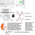 Click image for larger version

Name:	modul-clemente.jpg
Views:	139
Size:	214.4 KB
ID:	454381