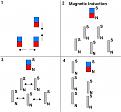 Click image for larger version

Name:	magnetic induction.JPG
Views:	73
Size:	32.4 KB
ID:	455008