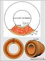 Click image for larger version

Name:	PAT US55565835 Coil.jpg
Views:	35
Size:	147.6 KB
ID:	457154