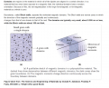 Click image for larger version

Name:	Magnetic Domains 3.png
Views:	146
Size:	244.1 KB
ID:	457739