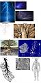 Click image for larger version

Name:	FractalFlows.jpg
Views:	17
Size:	132.4 KB
ID:	457846