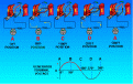 Click image for larger version

Name:	Sinewave3.GIF
Views:	66
Size:	18.3 KB
ID:	458267