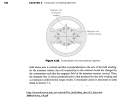 Click image for larger version

Name:	Page194.png
Views:	95
Size:	140.1 KB
ID:	458282