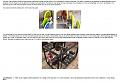 Click image for larger version

Name:	Gravity-powered%20Generators,%20pg.2.jpg
Views:	17
Size:	342.8 KB
ID:	458436
