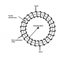 Click image for larger version

Name:	cont closed coil G-part.png
Views:	19
Size:	66.2 KB
ID:	458584