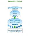 Click image for larger version

Name:	HYDROGEN_BOND_IN_NATURE.jpg
Views:	46
Size:	22.3 KB
ID:	458623