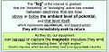 Click image for larger version

Name:	Capt00ure.JPG
Views:	212
Size:	99.9 KB
ID:	461395