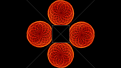 Click image for larger version

Name:	ferro_hologram_bg.png
Views:	21
Size:	1.89 MB
ID:	461601