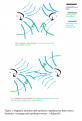 Click image for larger version

Name:	Magnetic atraction and repulsion expalained as fluid vortex dynamics  (merging and repulsing vor.png
Views:	100
Size:	88.2 KB
ID:	461886