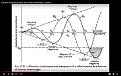 Click image for larger version

Name:	Don Smith Trompet Whale wave 02.jpg
Views:	109
Size:	203.0 KB
ID:	462593