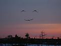 Click image for larger version

Name:	smile.jpg
Views:	15
Size:	84.7 KB
ID:	463297