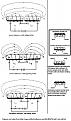 Click image for larger version

Name:	Garry coils.jpg
Views:	63
Size:	93.1 KB
ID:	449501