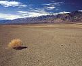 Click image for larger version

Name:	tumbleweed01.jpg
Views:	56
Size:	46.1 KB
ID:	454134