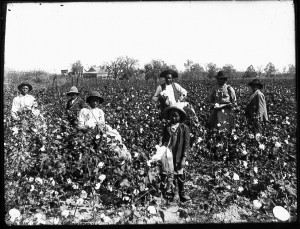 Click image for larger version
Name: slaves-in-field-300x229.jpg
Views: 1
Size: 32.1 KB
ID: 457762