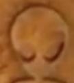 Click image for larger version

Name:	Alien hyroglyph head.jpg
Views:	18
Size:	39.8 KB
ID:	459319