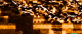 Click image for larger version

Name:	Screen Shot 2017-08-26 at 7.52.36 AM.png
Views:	26
Size:	310.8 KB
ID:	459323