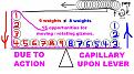 Click image for larger version

Name:	Tanked Water Lever.JPG
Views:	62
Size:	127.4 KB
ID:	461728