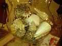 Click image for larger version

Name:	seashells.JPG
Views:	75
Size:	274.3 KB
ID:	463218