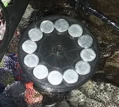 images?q=tbn%3AANd9GcRAywTQEMoPhvy2AZ8dhtuh8seBtBAs7CZErg&usqp=CAU.jpg Click image for larger version Name: images?q=tbn%3AANd9GcRAywTQEMoPhvy2AZ8dhtuh8seBtBAs7CZErg&usqp=CAU.jpg Views: 0 Size: 18.0 KB ID: 499659