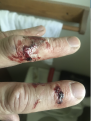 Click image for larger version  Name:	Exploding rotor2.png Views:	0 Size:	1.33 MB ID:	507512
