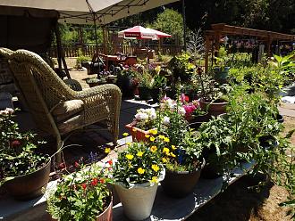 Click image for larger version
Name: DSCF5181.JPG
Views: 97
Size: 470.4 KB
ID: 512067