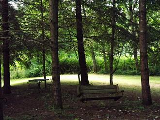 Click image for larger version
Name: DSCF5198.JPG
Views: 92
Size: 319.4 KB
ID: 512069